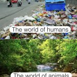 Two worlds