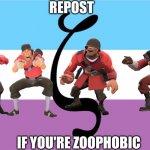 TF2 Repost If You're Zoophobic meme