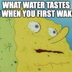 Dehydrated SpongeBob | WHAT WATER TASTES LIKE WHEN YOU FIRST WAKE UP | image tagged in dehydrated spongebob | made w/ Imgflip meme maker