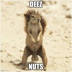 Poopppppp | DEEZ; NUTS | image tagged in deez nuts | made w/ Imgflip meme maker