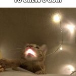 So funny, I can’t come up with a clever title. | HOW IT FEELS TO CHEW 5 GUM | image tagged in christmas light cat | made w/ Imgflip meme maker