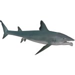 Helicoprion (Mouth Type 2)