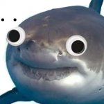 Surprised shark