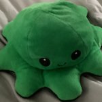 Octopus fidget toy