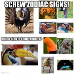 Zodiac signs suck | SCREW ZODIAC SIGNS! WHICH BIRB IS YOUR FAVORITE? | image tagged in which birb is your favorite | made w/ Imgflip meme maker