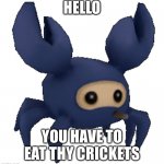MADE | HELLO; YOU HAVE TO EAT THY CRICKETS | image tagged in best,krabby patty,made | made w/ Imgflip meme maker