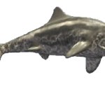 Ichthyosaurus