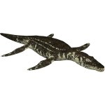 Liopleurodon