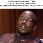 *dies of death* | WHEN YOU’RE DRIVING YOUR CAR AND YOU SEE A BUNCH OF KINDERGARTNERS WALKING ON A CROSSWALK | image tagged in wack,memes,funny,school,crosswalk,death | made w/ Imgflip meme maker
