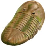 Brown and Green Trilobite