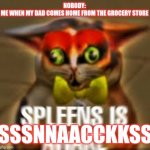 SSNNAACCKKSS | NOBODY: 
ME WHEN MY DAD COMES HOME FROM THE GROCERY STORE; SSSNNAACCKKSS | image tagged in spleens the cat | made w/ Imgflip meme maker