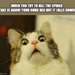 Where my fellow arachnophobes at? | WHEN YOU TRY TO KILL THE SPIDER
THAT IS ABOVE YOUR BUNK BED BUT IT FALLS DOWN | image tagged in wtf cat | made w/ Imgflip meme maker