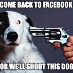 come back to facebook or else | COME BACK TO FACEBOOK; OR WE'LL SHOOT THIS DOG | image tagged in shoot this dog,facebook | made w/ Imgflip meme maker