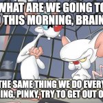 Good morning | WHAT ARE WE GOING TO DO THIS MORNING, BRAIN?"; THE SAME THING WE DO EVERY MORNING, PINKY, TRY TO GET OUT OF BED. | image tagged in pink and the brain ir | made w/ Imgflip meme maker