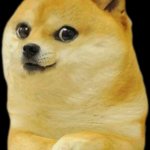 kid doge png template