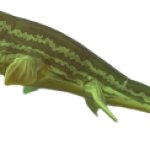 Fish: Feed and Grow Prognathodon