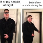 Is this relatable??????????? | Both of my nostrils during the day; Both of my nostrils 
at night | image tagged in guy who blocks door,nose,relatable | made w/ Imgflip meme maker