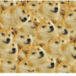 Multi Doge