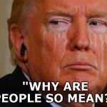 Trump is the ultimate SNOWFLAKE | "WHY ARE PEOPLE SO MEAN?" | image tagged in trump is the ultimate snowflake | made w/ Imgflip meme maker