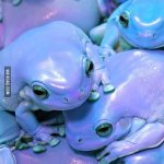 Froggos