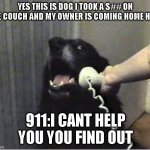 ah s#@* | YES THIS IS DOG I TOOK A S## ON THE COUCH AND MY OWNER IS COMING HOME HELP; 911:I CANT HELP YOU YOU FIND OUT | image tagged in yes this is dog | made w/ Imgflip meme maker