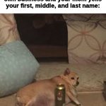 Bruh leave me be. | When you're minding your own business and your mom yells your first, middle, and last name: | image tagged in lazy dog | made w/ Imgflip meme maker