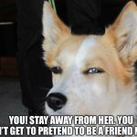 skeptical dog | YOU! STAY AWAY FROM HER. YOU DON’T GET TO PRETEND TO BE A FRIEND NOW. | image tagged in skeptical dog | made w/ Imgflip meme maker