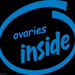 Intel Inside | ovaries | image tagged in intel inside | made w/ Imgflip meme maker