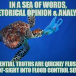 Too many "experts"... | IN A SEA OF WORDS, RHETORICAL OPINION & ANALYSIS; ESSENTIAL TRUTHS ARE QUICKLY FLUSHED OUT-OF-SIGHT INTO FLOOD CONTROL SEWERS | image tagged in turtle eating plastic | made w/ Imgflip meme maker