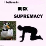 I belive in duck supremacy | DUCK | image tagged in i belive in supermacy,duck | made w/ Imgflip meme maker