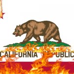 this heat wave is getting out of hand | image tagged in california flag,heat wave | made w/ Imgflip meme maker