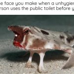 Disgusting | The face you make when a unhygienic person uses the public toilet before you | image tagged in not happy | made w/ Imgflip meme maker