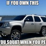 Carolina Squat | IF YOU OWN THIS YOU SQUAT WHEN YOU PEE | image tagged in carolina squat | made w/ Imgflip meme maker