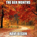 The Ber Months have begun | THE BER MONTHS; HAVE BEGUN | image tagged in road in autumn | made w/ Imgflip meme maker