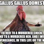 Gladiator Rooster | I AM GALLUS GALLUS DOMESTICUS; FATHER TO A MURDERED CHICK. HUSBAND TO A MURDERED HEN. AND I WILL HAVE MY VENGEANCE, IN THIS LIFE OR THE NEXT. | image tagged in gladiator rooster | made w/ Imgflip meme maker