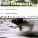 On my way to shreks pizza | image tagged in gifs,memes,fun,shrek | made w/ Imgflip video-to-gif maker