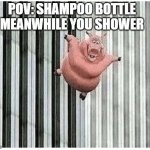 Shampoo Bottle Meme | POV: SHAMPOO BOTTLE MEANWHILE YOU SHOWER | image tagged in pig jumping off | made w/ Imgflip meme maker