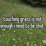 no touch grass; touched grass meme - Piñata Farms - The best meme generator  and meme maker for video & image memes