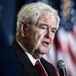 Newt Gingrich