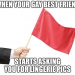 Red Flag | WHEN YOUR GAY BEST FRIEND; STARTS ASKING YOU FOR LINGERIE PICS | image tagged in red flag | made w/ Imgflip meme maker