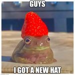 Hat | GUYS; I GOT A NEW HAT | image tagged in strawberry frog | made w/ Imgflip meme maker
