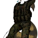 Furry Soldier