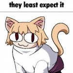 Post this cat when they least expect it meme