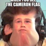 Bruh | WHEN YOU SEE THE CAMERON FLAG | image tagged in bruh | made w/ Imgflip meme maker