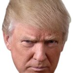 Trump Overlay