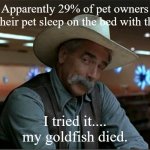 Sarcasm cowboy redo | Apparently 29% of pet owners let their pet sleep on the bed with them; I tried it.... my goldfish died. | image tagged in sarcasm cowboy redo | made w/ Imgflip meme maker