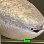 hapy fish