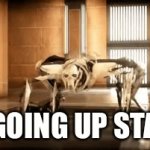 It feels faster | ME GOING UP STAIRS | image tagged in gifs,stairs | made w/ Imgflip video-to-gif maker