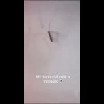 mosquito dancing GIF Template