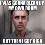 jordan peterson | I WAS GONNA CLEAN UP 
MY OWN ROOM; BUT THEN I GOT HIGH | image tagged in jordan peterson | made w/ Imgflip meme maker